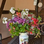 Maison 2-12 Personnes Pmr En Alsace A Jardin, Animaux Acceptes, Proche Colmar Et Europapark בית נופש *