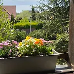 בית נופש Maison 2-12 Personnes Pmr En Alsace A Jardin, Animaux Acceptes, Proche Colmar Et Europapark Jebsheim