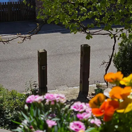 Maison 2-12 Personnes Pmr En Alsace A Jardin, Animaux Acceptes, Proche Colmar Et Europapark *