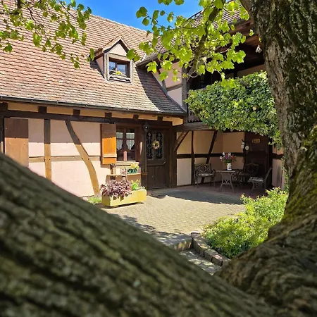 Prázdninový dům Maison 2-12 Personnes Pmr En Alsace A Jardin, Animaux Acceptes, Proche Colmar Et Europapark *