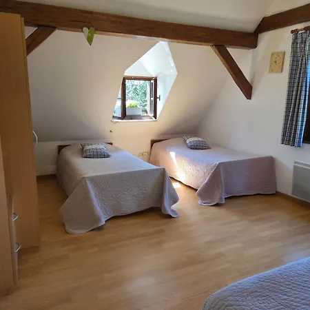 Maison 2-12 Personnes Pmr En Alsace A Jardin, Animaux Acceptes, Proche Colmar Et Europapark