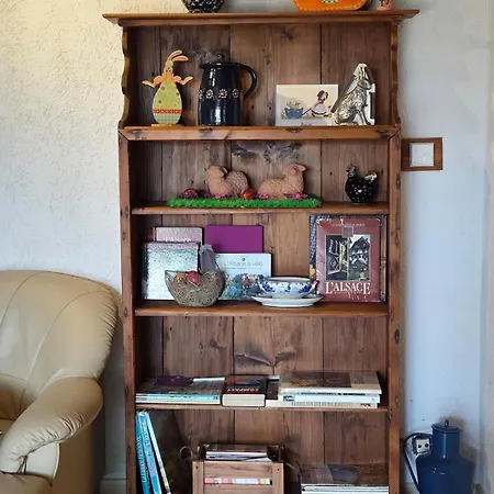 Prázdninový dům Maison 12 Personnes Pmr En Alsace A Jardin, Animaux Acceptes, Proche Colmar Jebsheim