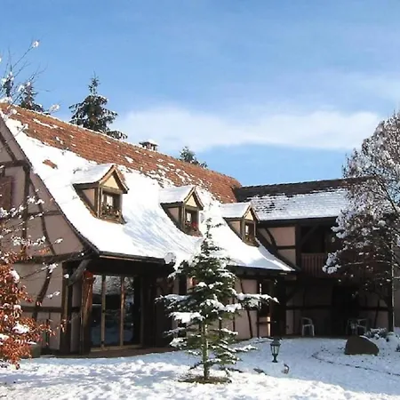 Maison 12 Personnes Pmr En Alsace à Jardin, Animaux Acceptés, Proche Colmar Casa de Férias *