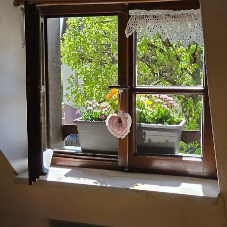 Maison 2-12 Personnes Pmr En Alsace A Jardin, Animaux Acceptes, Proche Colmar Et Europapark بيت للعطل