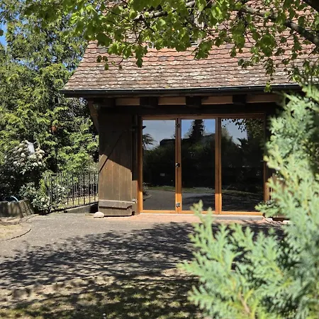 Prázdninový dům Maison 12 Personnes Pmr En Alsace A Jardin, Animaux Acceptes, Proche Colmar