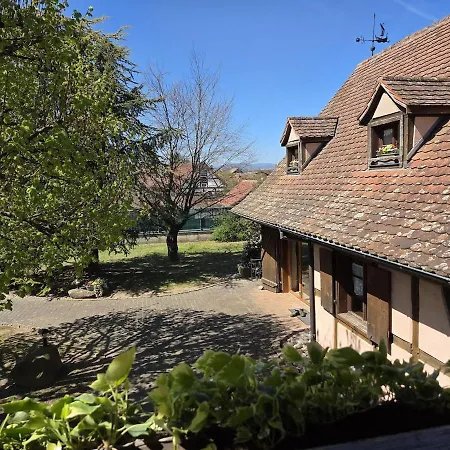 Maison 12 Personnes Pmr En Alsace à Jardin, Animaux Acceptés, Proche Colmar Casa de Férias *
