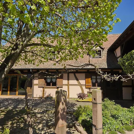 Casa de Férias Maison 12 Personnes Pmr En Alsace à Jardin, Animaux Acceptés, Proche Colmar Jebsheim