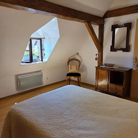 Maison 12 Personnes Pmr En Alsace A Jardin, Animaux Acceptes, Proche Colmar * Jebsheim