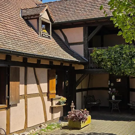 Prázdninový dům Maison 12 Personnes Pmr En Alsace A Jardin, Animaux Acceptes, Proche Colmar Jebsheim