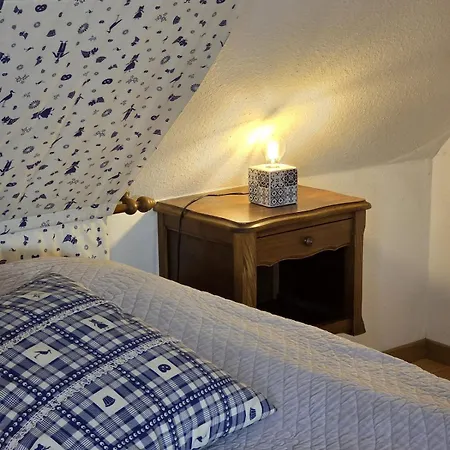 Maison 2-12 Personnes Pmr En Alsace A Jardin, Animaux Acceptes, Proche Colmar Et Europapark Jebsheim