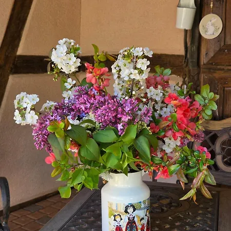 Maison 2-12 Personnes Pmr En Alsace A Jardin, Animaux Acceptes, Proche Colmar Et Europapark Dom wakacyjny *