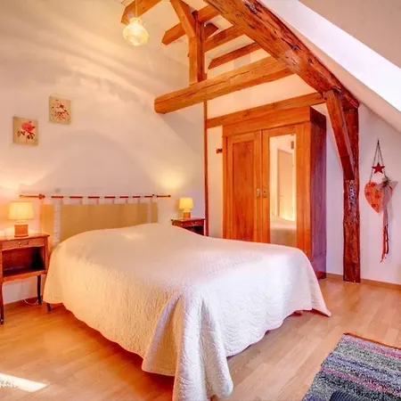 Maison 12 Personnes Pmr En Alsace A Jardin, Animaux Acceptes, Proche Colmar Prázdninový dům Jebsheim