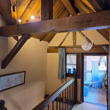 Maison 2-12 Personnes Pmr En Alsace A Jardin, Animaux Acceptes, Proche Colmar Et Europapark Dom wakacyjny Jebsheim