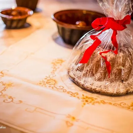 Maison 12 Personnes Pmr En Alsace A Jardin, Animaux Acceptes, Proche Colmar Prázdninový dům