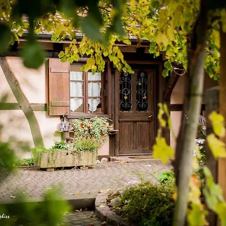 Maison 12 Personnes Pmr En Alsace à Jardin, Animaux Acceptés, Proche Colmar *