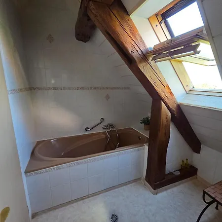 بيت للعطل Maison 2-12 Personnes Pmr En Alsace A Jardin, Animaux Acceptes, Proche Colmar Et Europapark