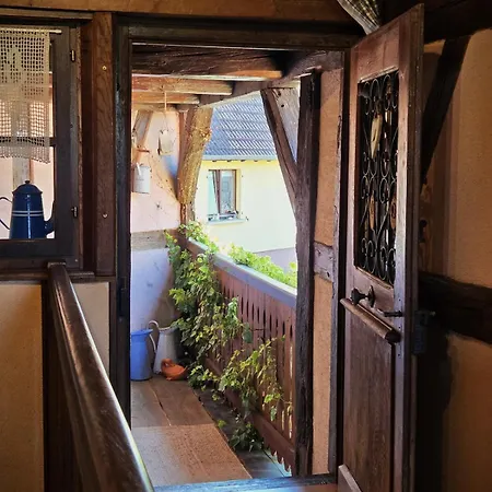 Maison 2-12 Personnes Pmr En Alsace A Jardin, Animaux Acceptes, Proche Colmar Et Europapark * Jebsheim