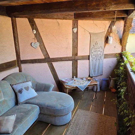 Maison 12 Personnes Pmr En Alsace A Jardin, Animaux Acceptes, Proche Colmar * Jebsheim