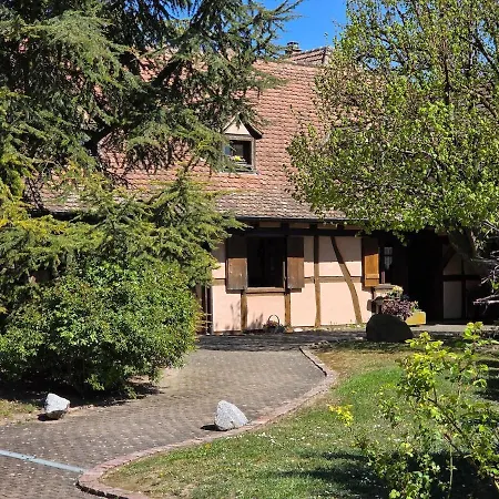 Maison 12 Personnes Pmr En Alsace à Jardin, Animaux Acceptés, Proche Colmar Casa de Férias Jebsheim