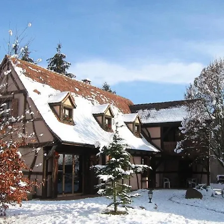 Maison 2-12 Personnes Pmr En Alsace A Jardin, Animaux Acceptes, Proche Colmar Et Europapark بيت للعطل Jebsheim