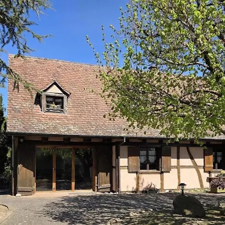 Maison 2-12 Personnes Pmr En Alsace A Jardin, Animaux Acceptes, Proche Colmar Et Europapark بيت للعطل