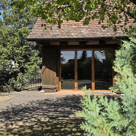 Dom wakacyjny Maison 2-12 Personnes Pmr En Alsace A Jardin, Animaux Acceptes, Proche Colmar Et Europapark