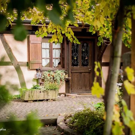 Maison 2-12 Personnes Pmr En Alsace A Jardin, Animaux Acceptes, Proche Colmar Et Europapark