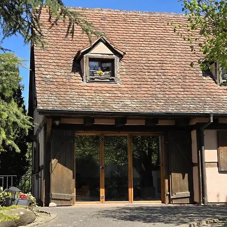 Maison 2-12 Personnes Pmr En Alsace A Jardin, Animaux Acceptes, Proche Colmar Et Europapark * Jebsheim